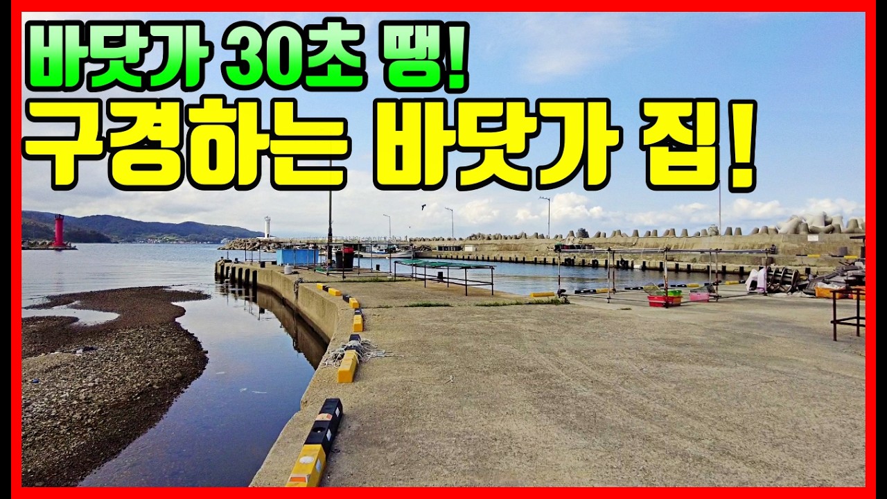 [급매물 바닷가 주택] 바닷가 30초 땡! 리모델링 주택 매매! /포항주택매매/바닷가 주택 매매/ 바닷가주택/ 바닷가 집 매매 /포항부동  #착한부동산