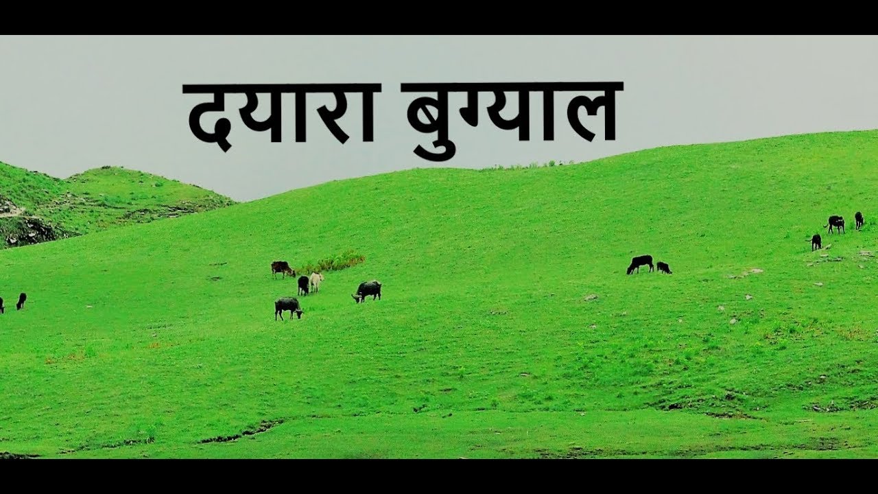 Dayara bugyal treck 23june2019
