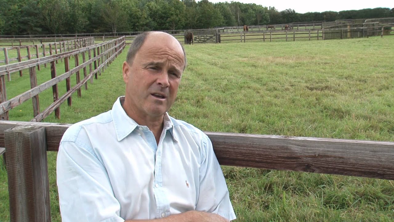Cotswold Seeds First Hand: Permanent Horse Pasture