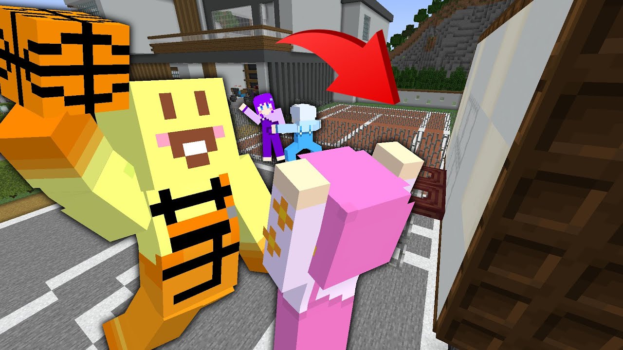 7億円の家に勝手にバスケットゴールを作って子分とバスケしてみたドッキリ!!【マイクラ】