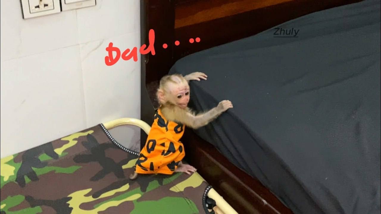 Zhuly Wake Up Without Dad, She Look So Panick-Ed Alone In Room