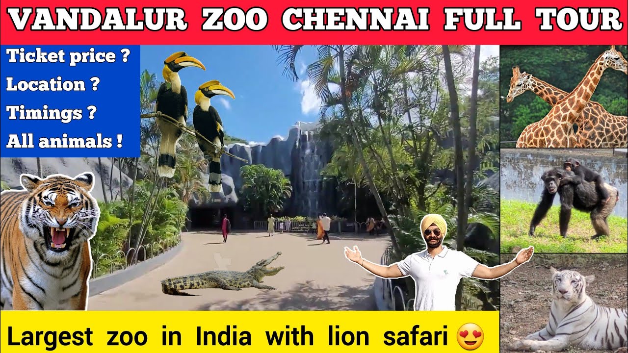 Vandalur zoo chennai - vandalur zoo ticket price 2024 | Chennai zoo park vandalur zoo animals video