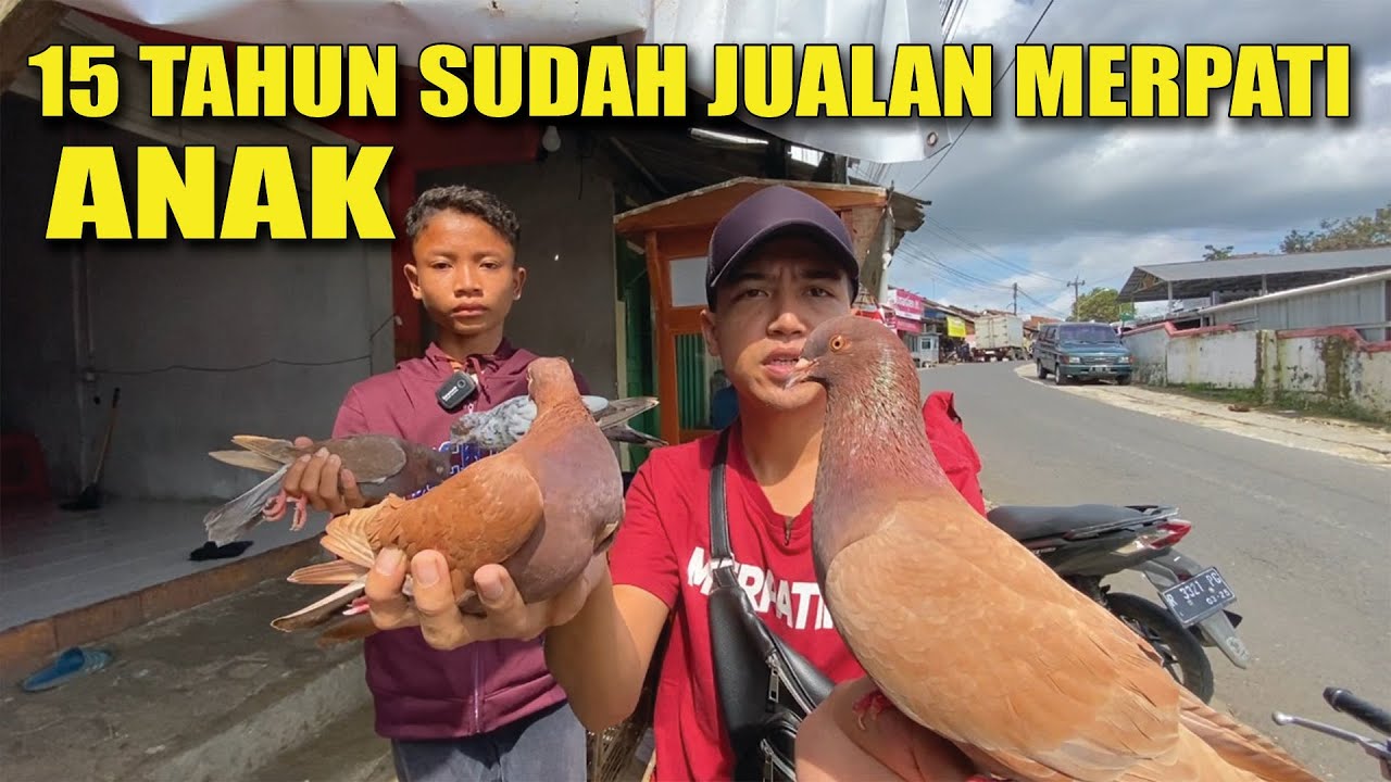 NGABUBURIT SAMBIL JAJAN MERPATI