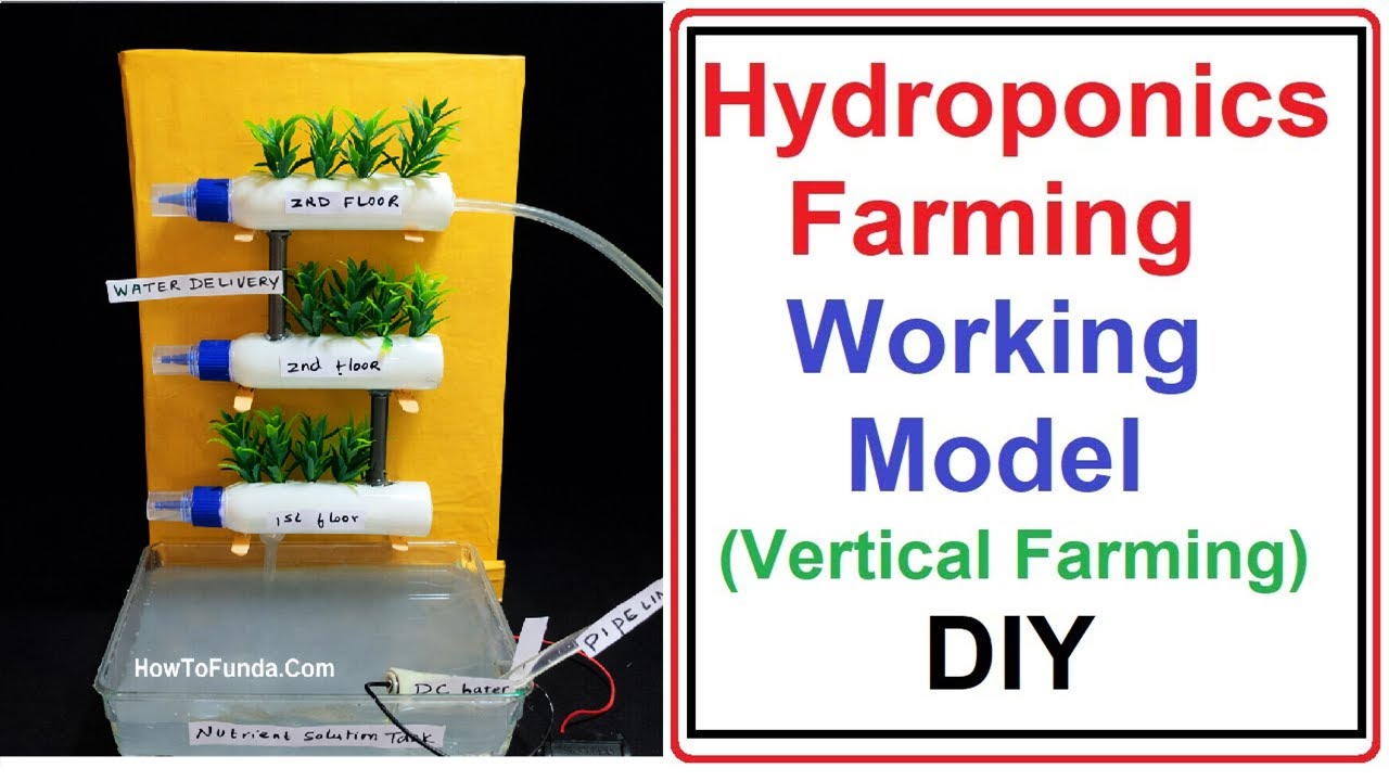 hydroponics farming(agriculture) working model (vertical) | inspire science project  | howtofunda
