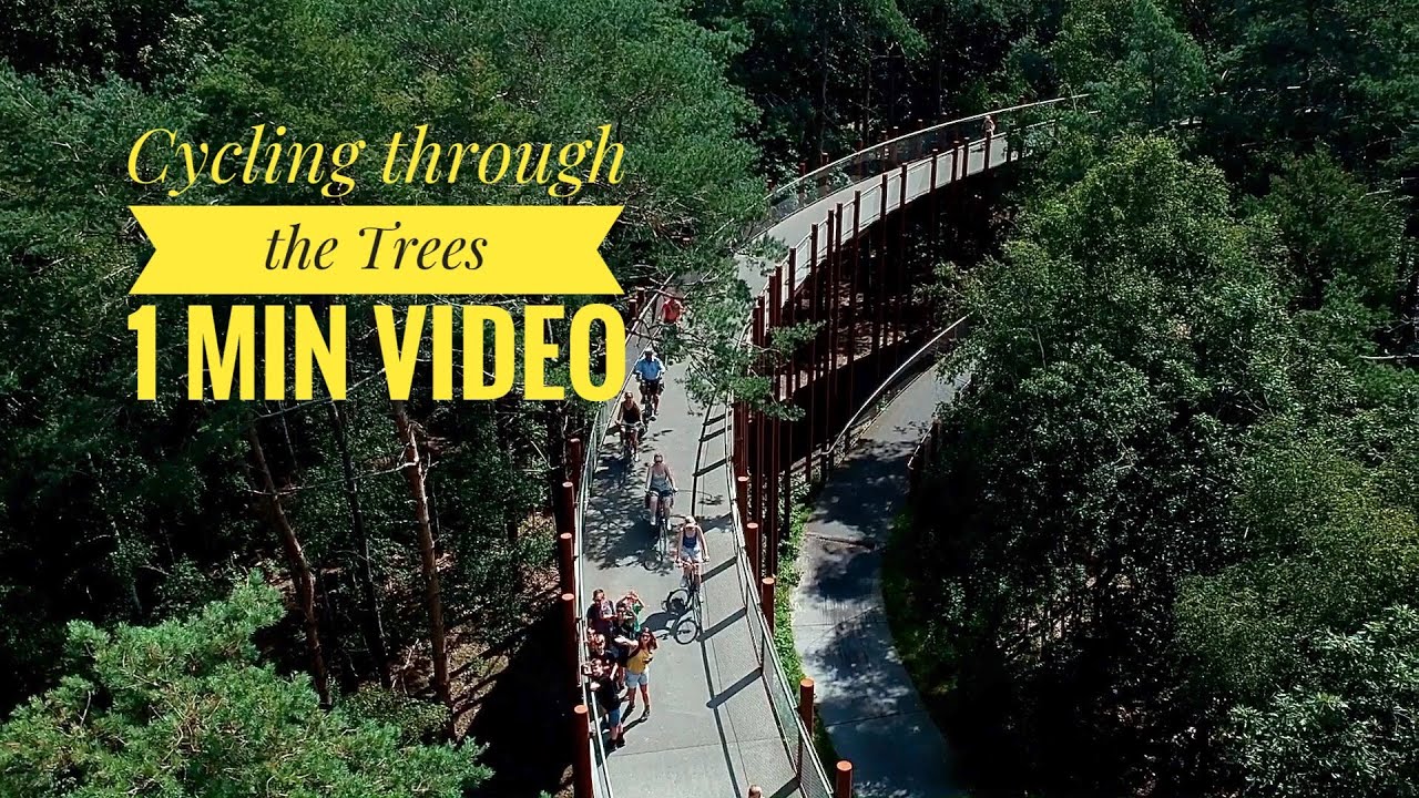 Cycling through the Trees | Bosland | Belgium | Music YouTube Audio library Cumbia City  by An Jone