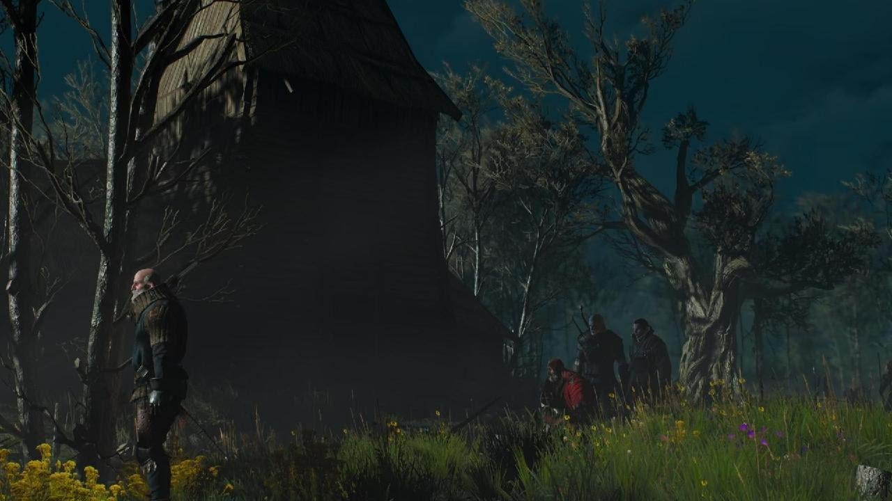 The Witcher 3: Wild Hunt - Really didn't see that dog.