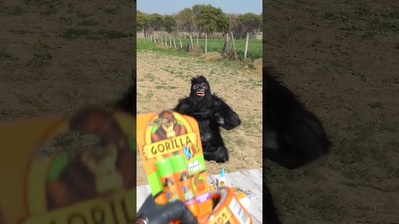 JCB vs gorilla glue #experiment #bluebox #jcb #gorilla