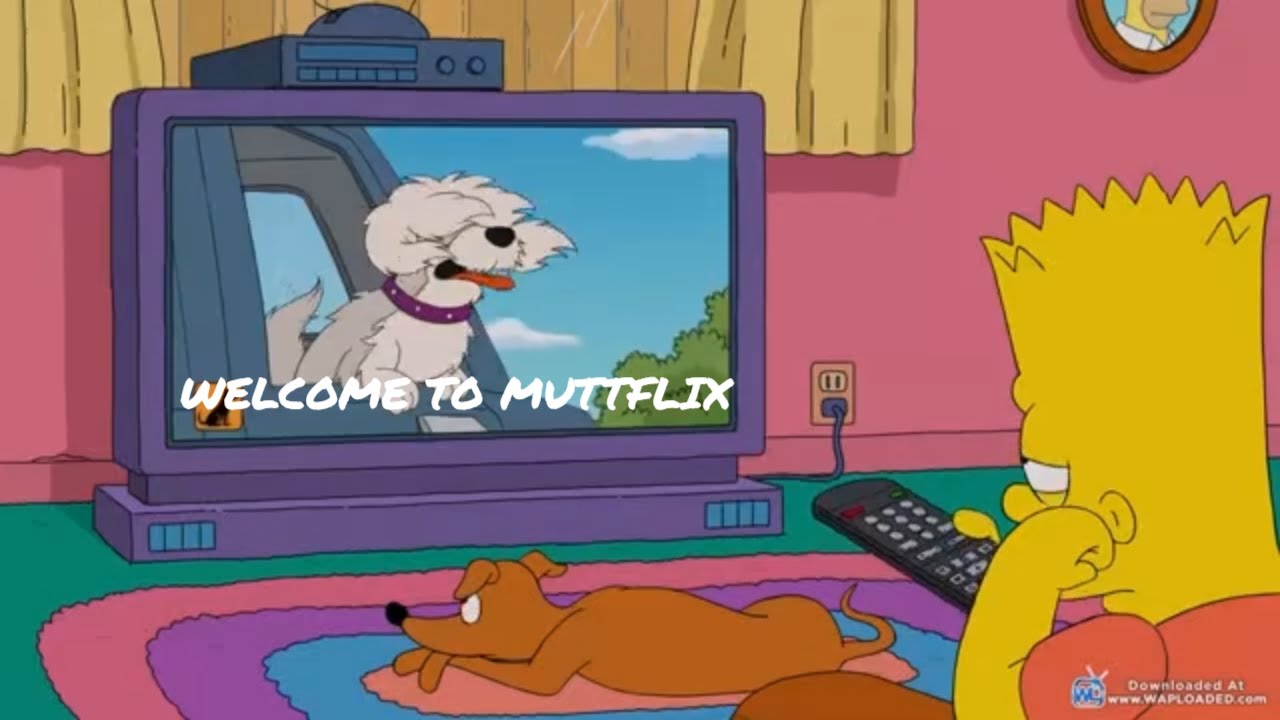 OMG! DOGTV on The Simpsons