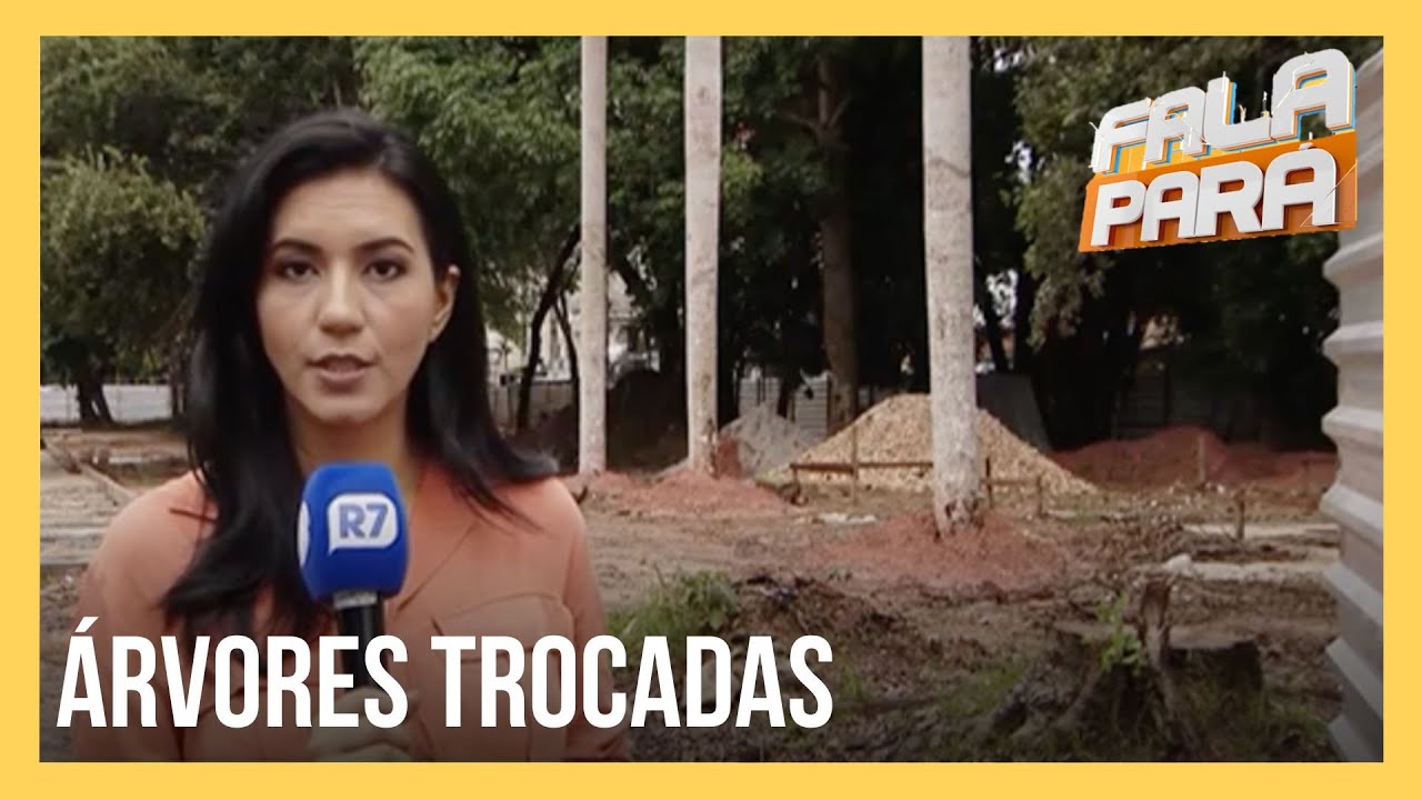 Árvores plantadas na Avenida Rômulo Maiorana não correspondem ao projeto original em Belém