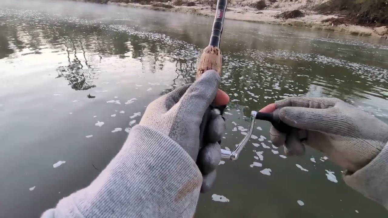 🎣🐟CYPRESS CREEK ACTION FOR CRAPPIE AND WHITE BASS 🎣🐟