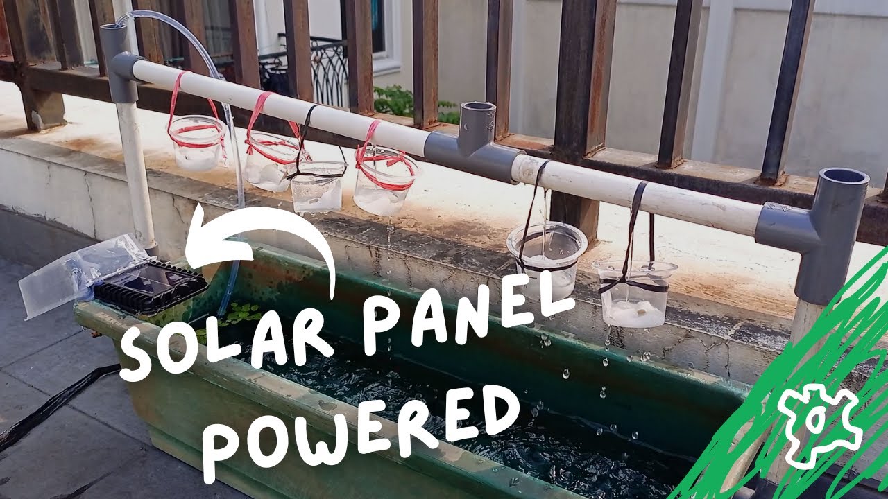 I made a SOLAR powered AQUAPONICS system for fish and beans