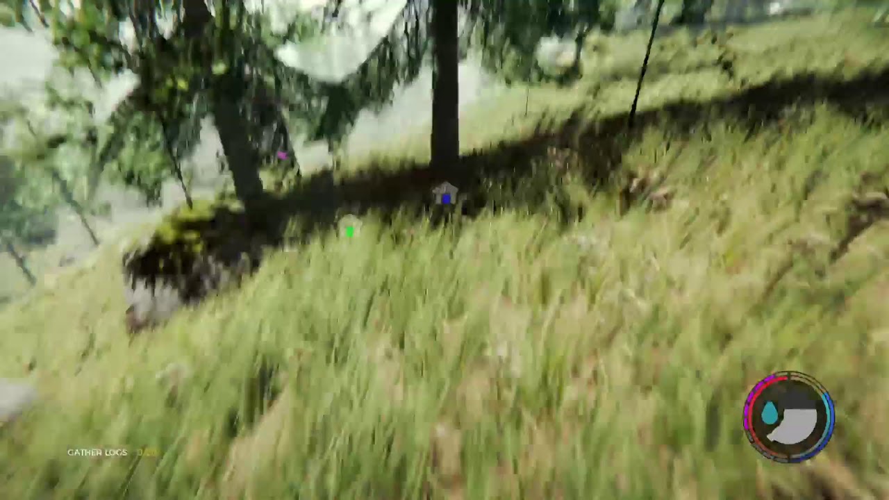 The  Forest: Continues..(3)