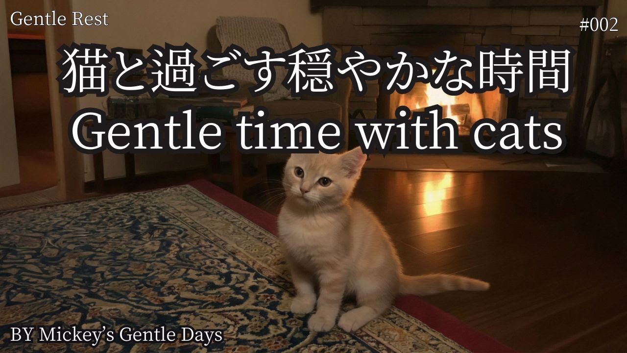 【休息】猫と静かに過ごすBGM｜Gentle Rest #002  | Gentle Ambient Music for Cats & Calm Moments