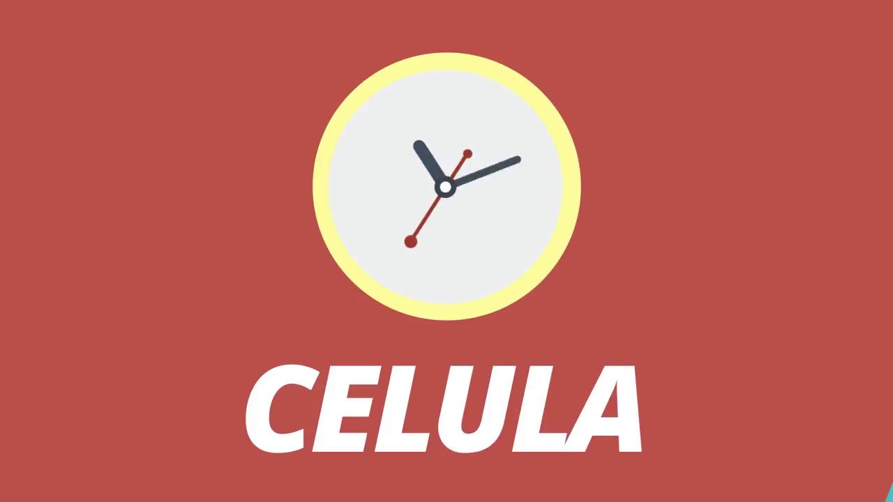 Principios para hacer su c&eacute;lula - G12TV