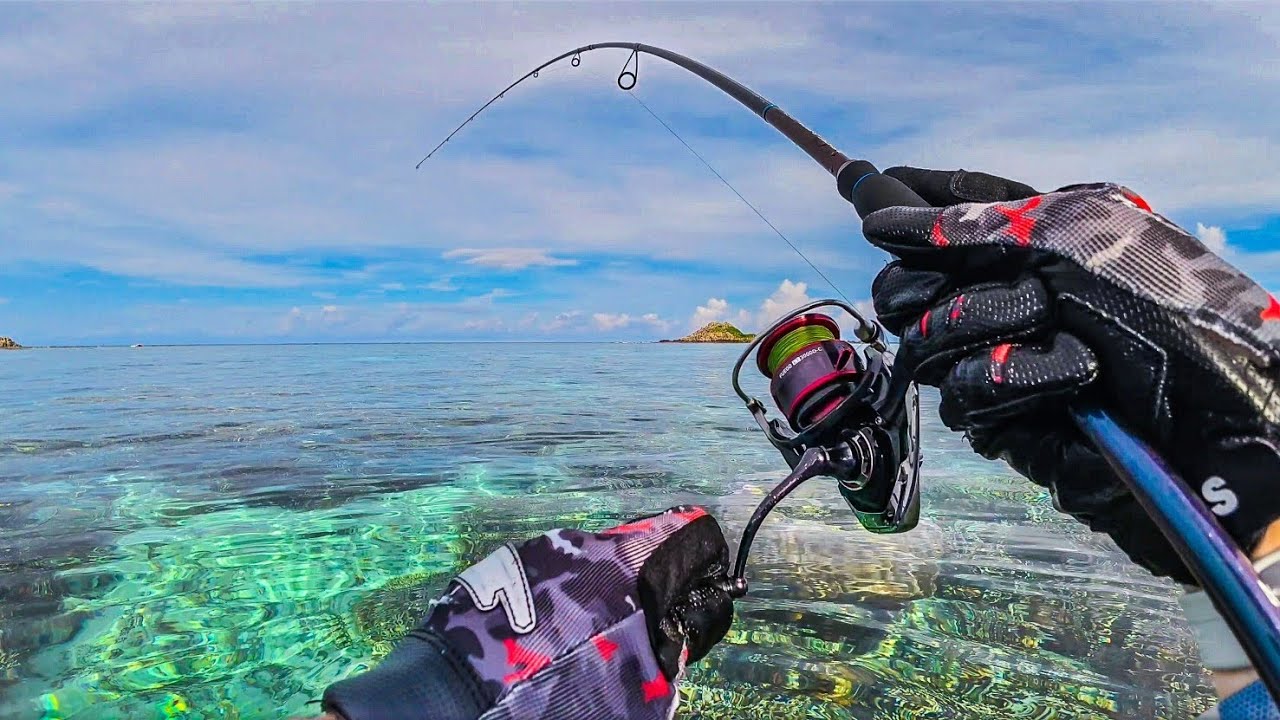 Рыбалка на рифе на тропическом острове