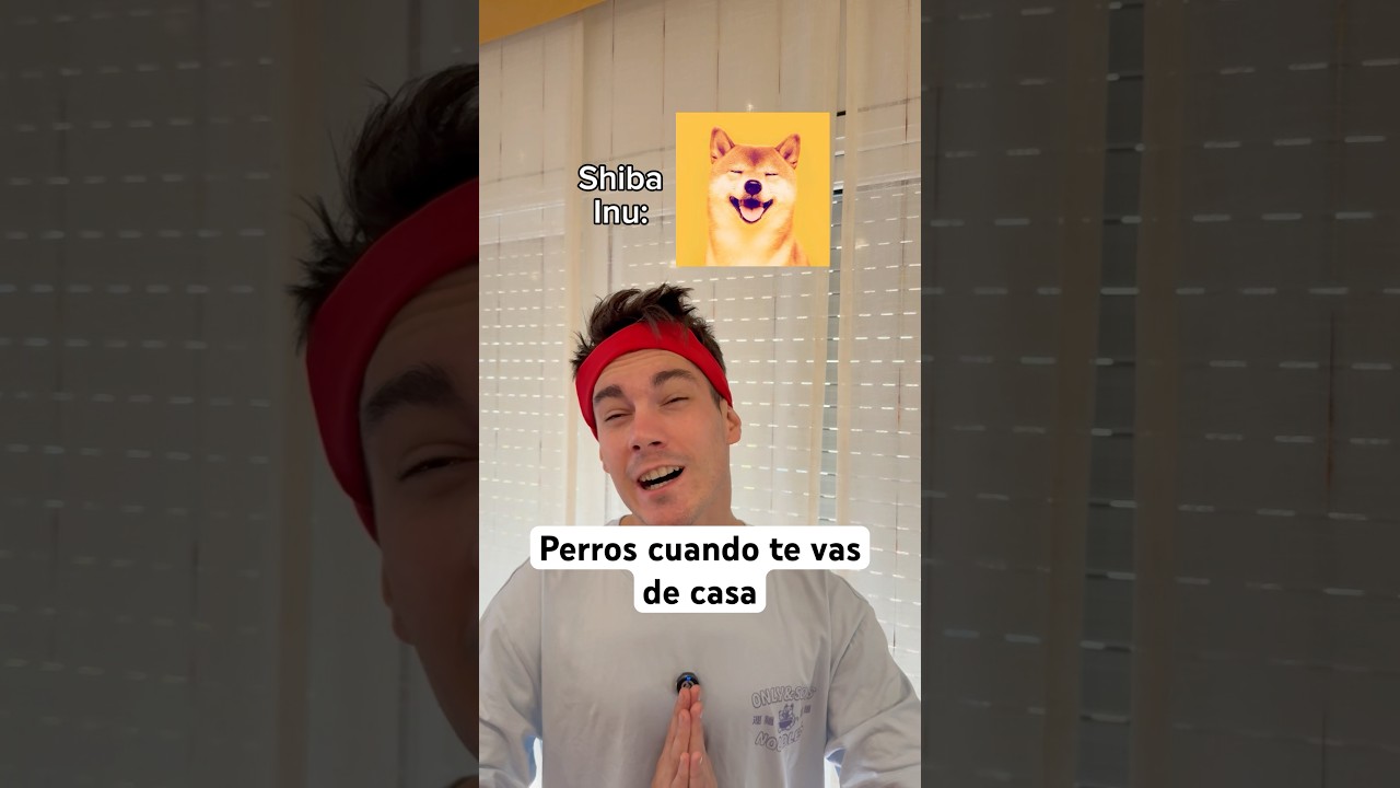 El &uacute;ltimo JAJA #humorperros #humorviral #humormascotas #perrosderisa #memesdeperros