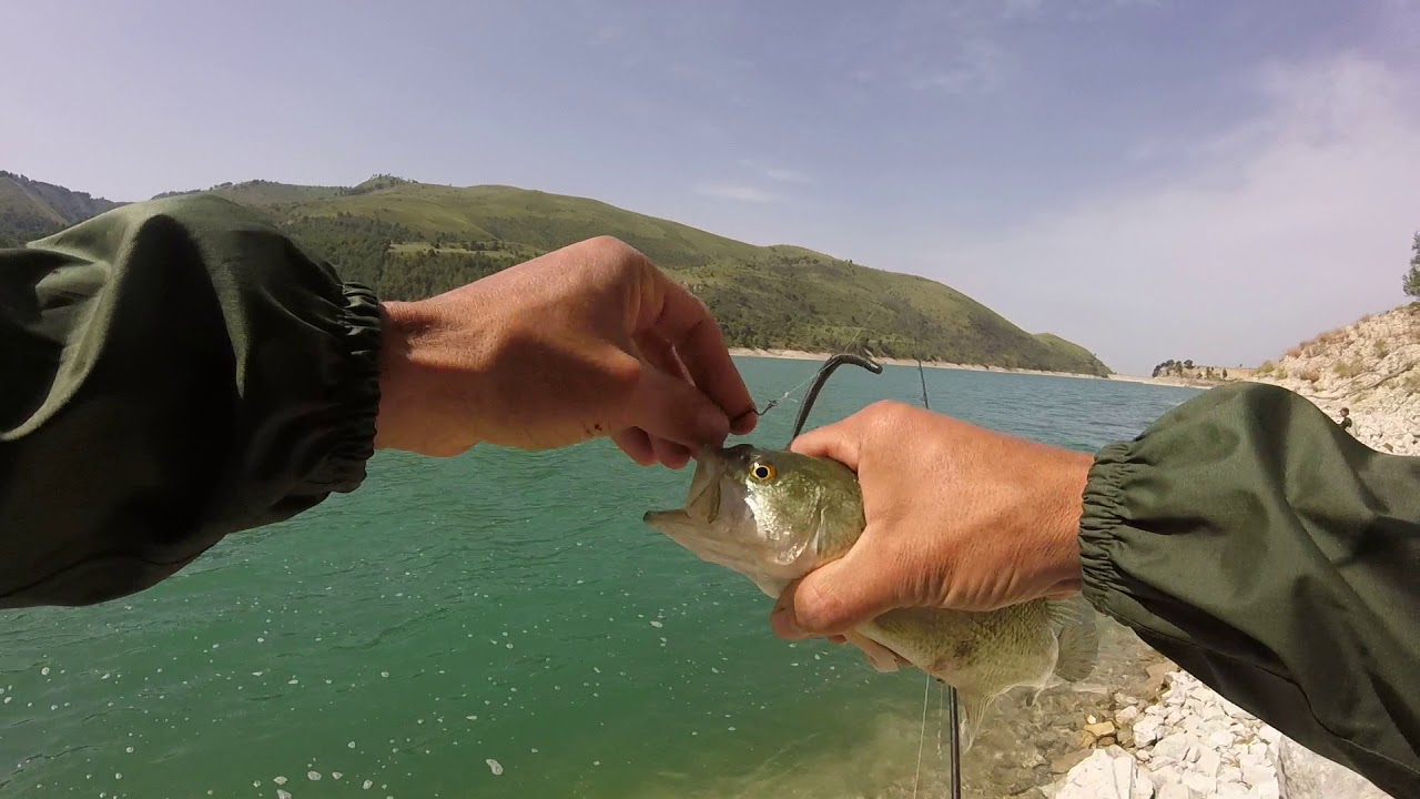 Pesca al persico trota lago dirillo