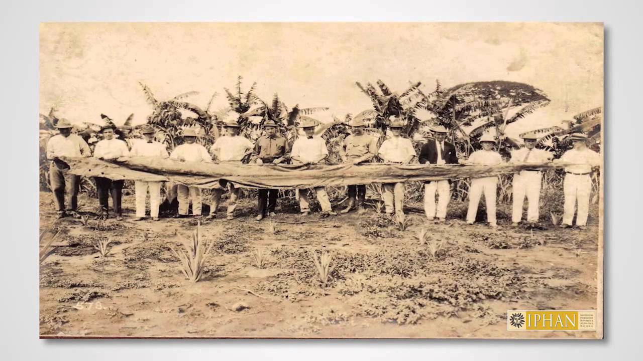 ALE-RO: Conheça um pouco da história da Estrada de Ferro Madeira-Mamoré