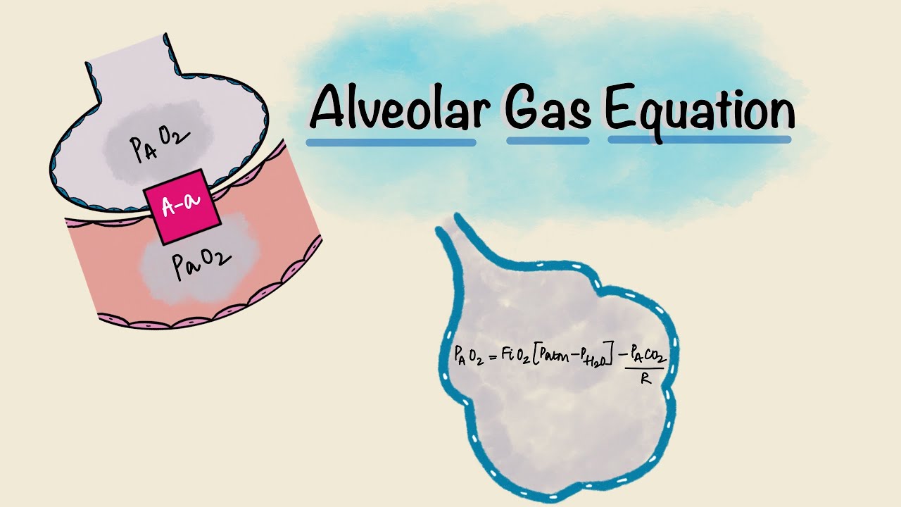 Alveolar Gas Equation | Alveolar-arterial (A-a) gradient | Respiratory Physiology