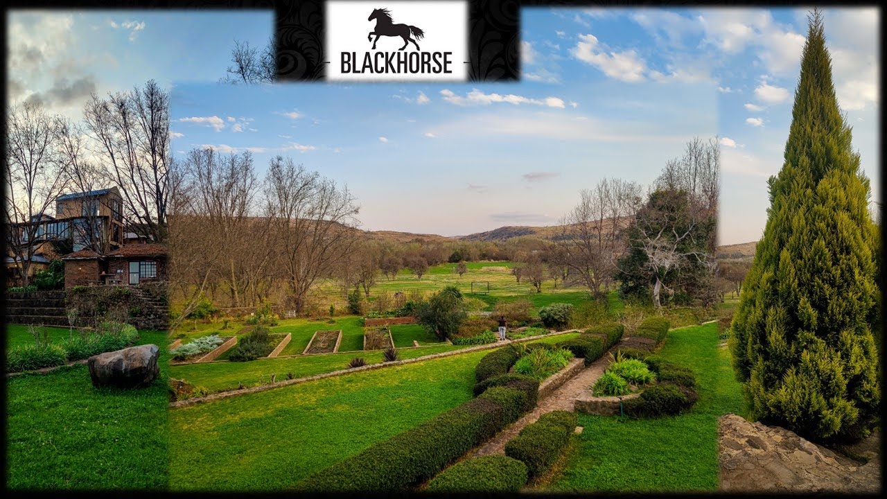The MOST BEAUTIFUL restaurant in Magaliesburg // THE BLACK HORSE BREWERY 🐎