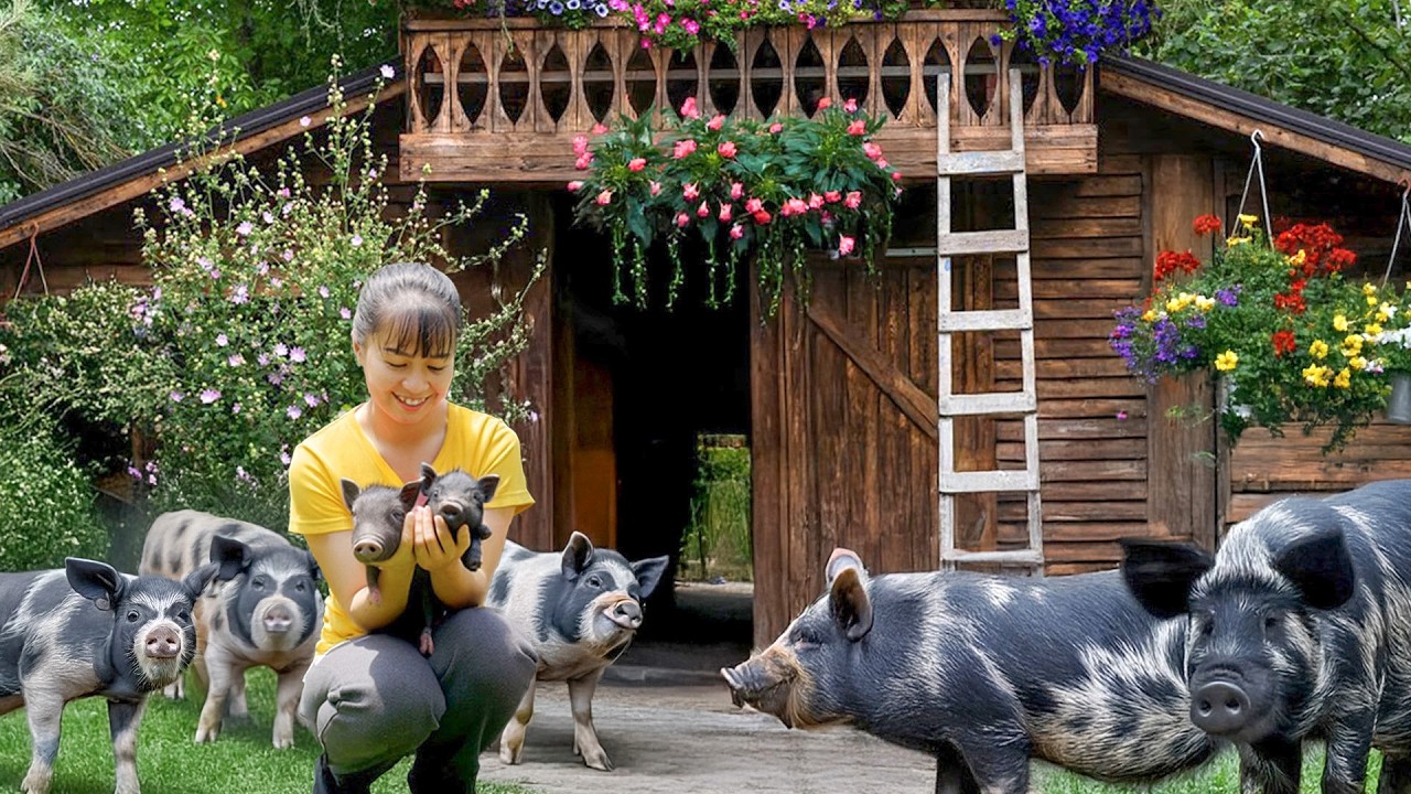 288 Days Building Pig Farm &ndash; Buy 100+ Piglets from Countryside Market to Raise | Phuong Harvest Life
