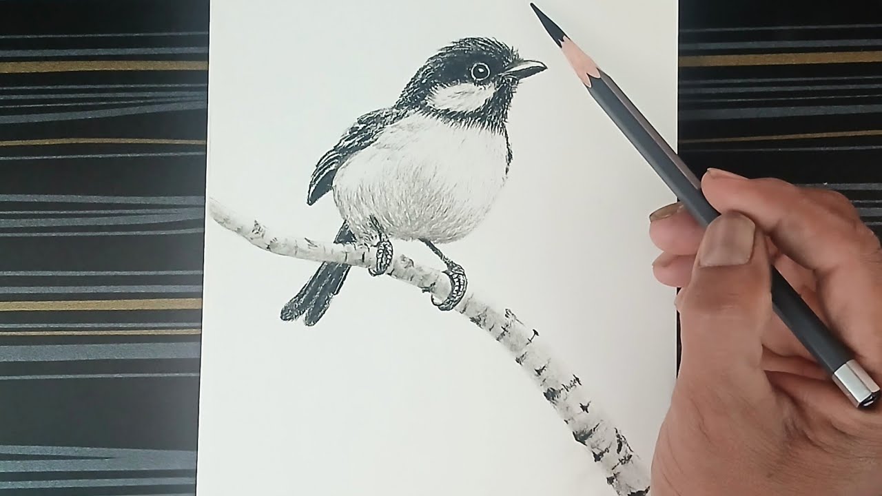 How to draw a bird sitting on branch of tree.