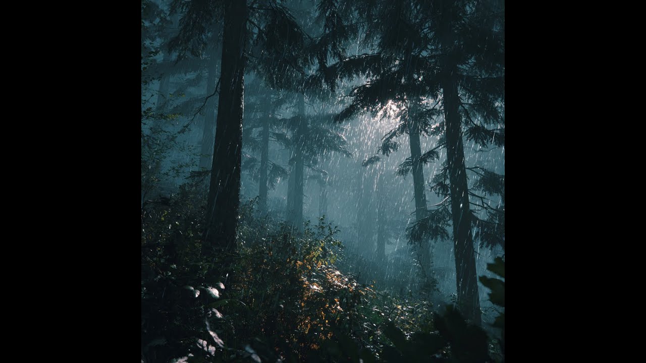 Rain in Dark Forest – 8 Hours Deep Sleep 🌧️🌲