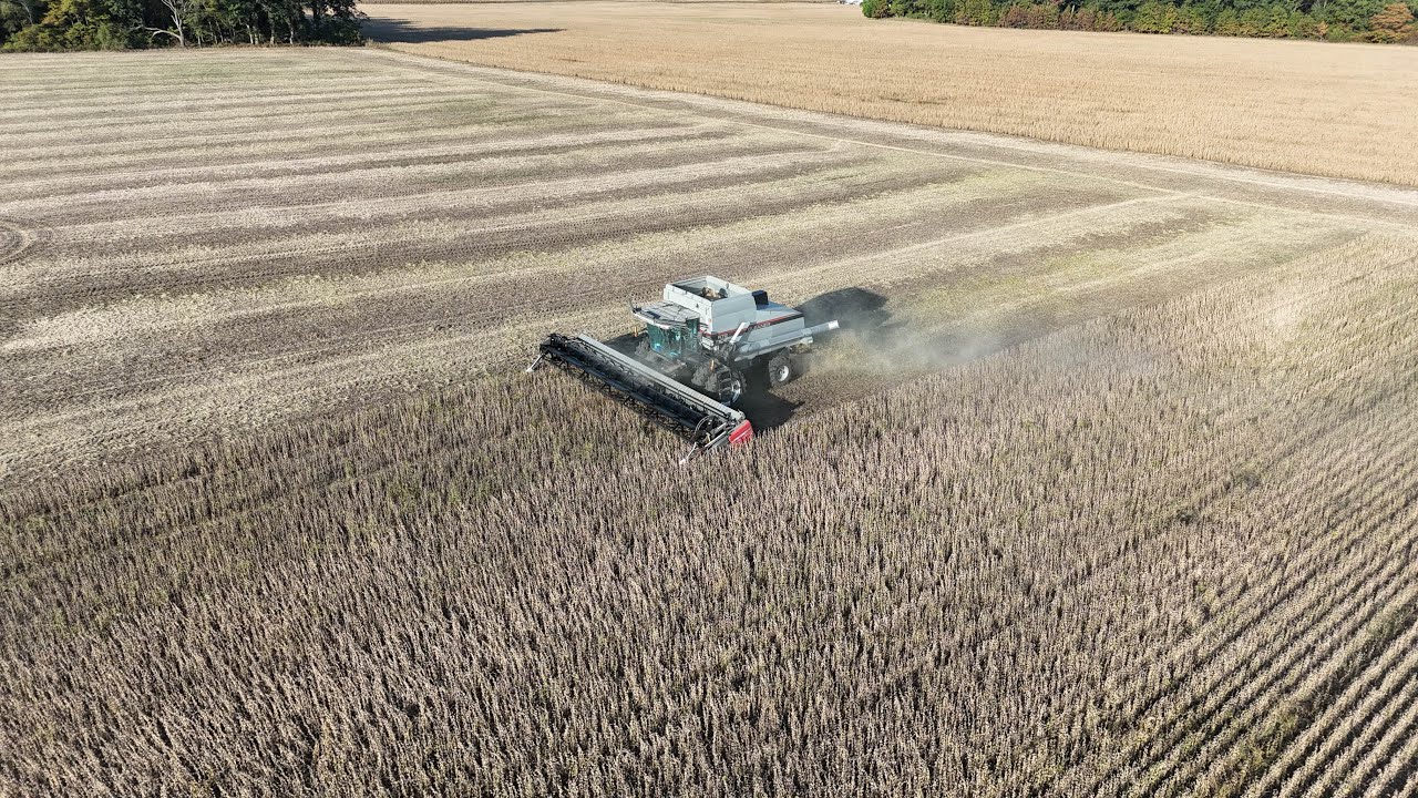 Harvesting beans and getting the disk ready to work ground for wheat.