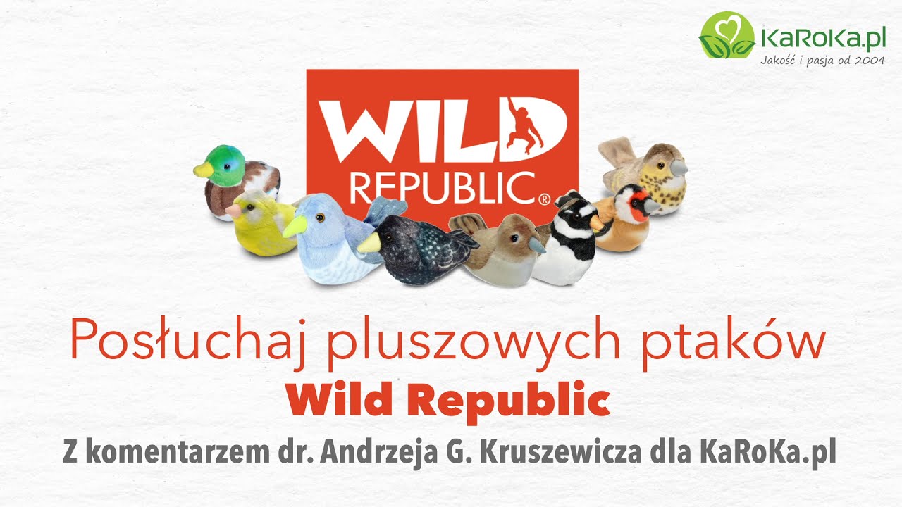 Posłuchaj pluszowych ptak&oacute;w Wild Republic z komentarzem dr Andrzeja Kruszewicza dla KaRoKa.pl