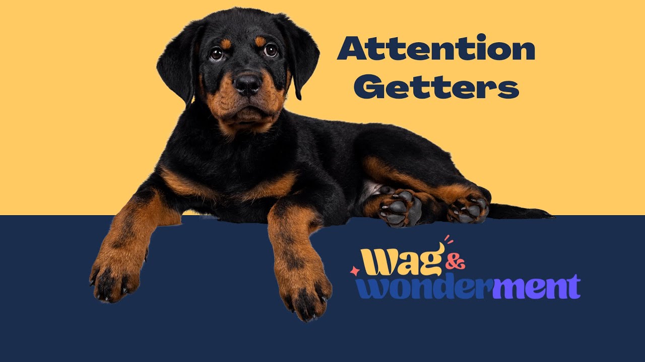 Training Attention-Getters