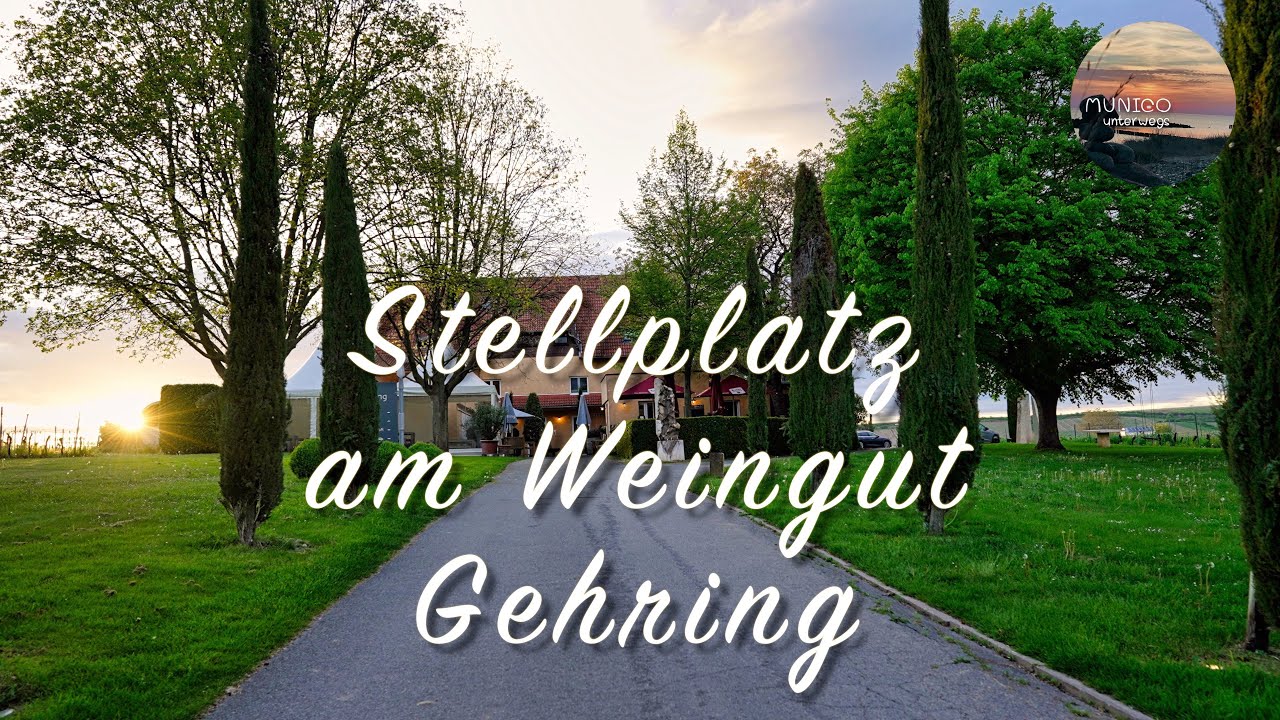 Stellplatz am Weingut Gehring in Nierstein die Toscana in Rheinland-Pfalz