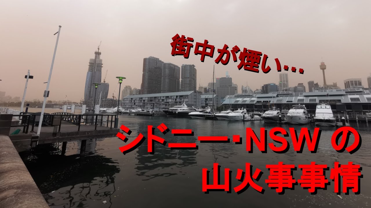 シドニー・NSW の山火事事情。街が煙い