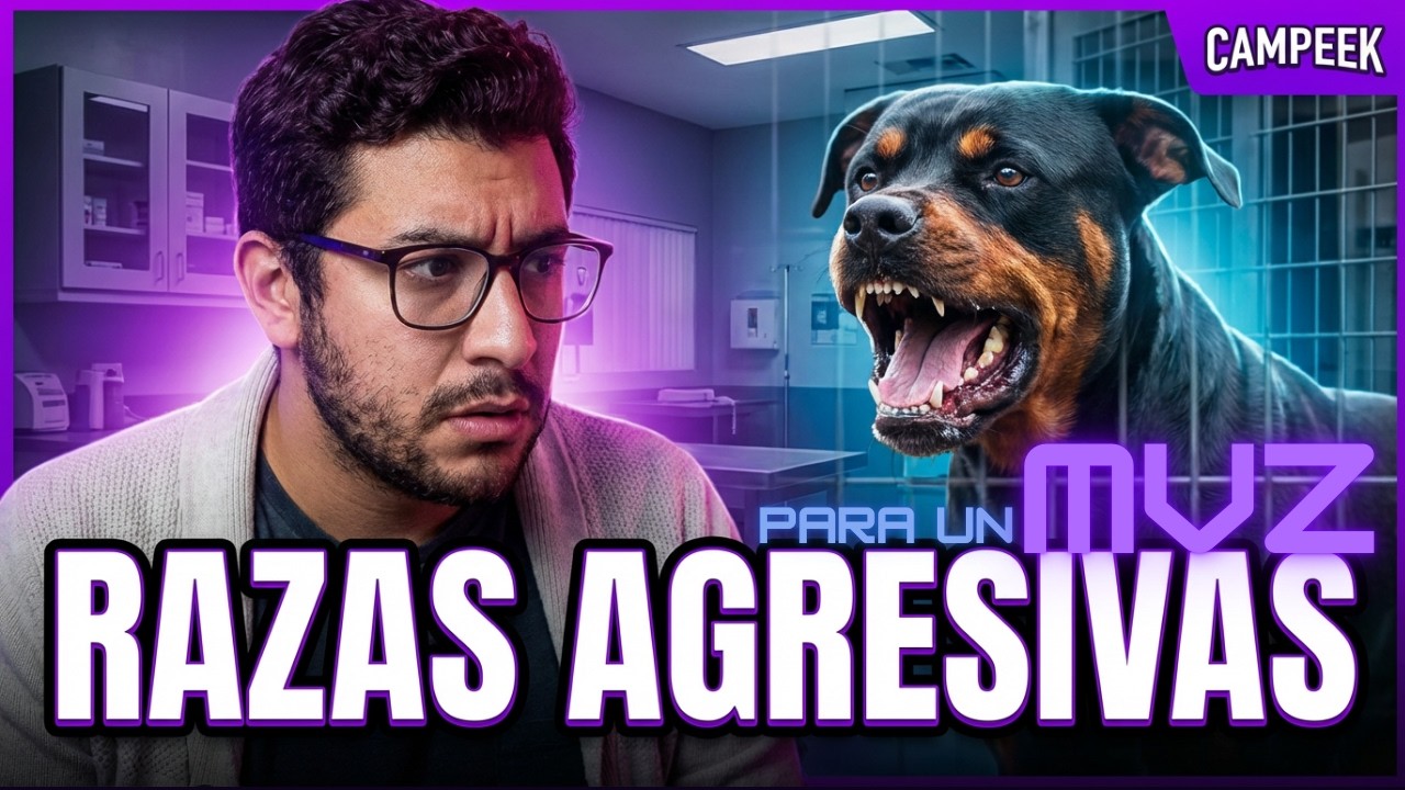 ESTAS son las RAZAS que más me han MORDIDO| Sebastian Sandoval