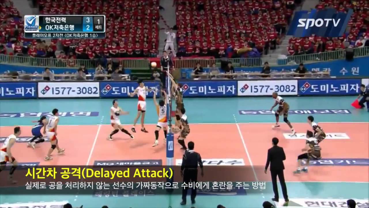 배구 경기용어 이해하기 (2015)