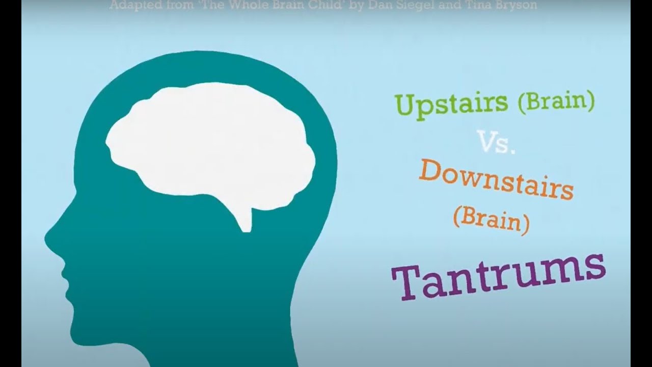 Understanding Children&rsquo;s Behaviours &ndash; Tantrums vs. Meltdowns