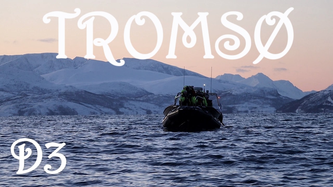 Walvissen en Orca's spotten op een RIB boot / Tromso Deel #3