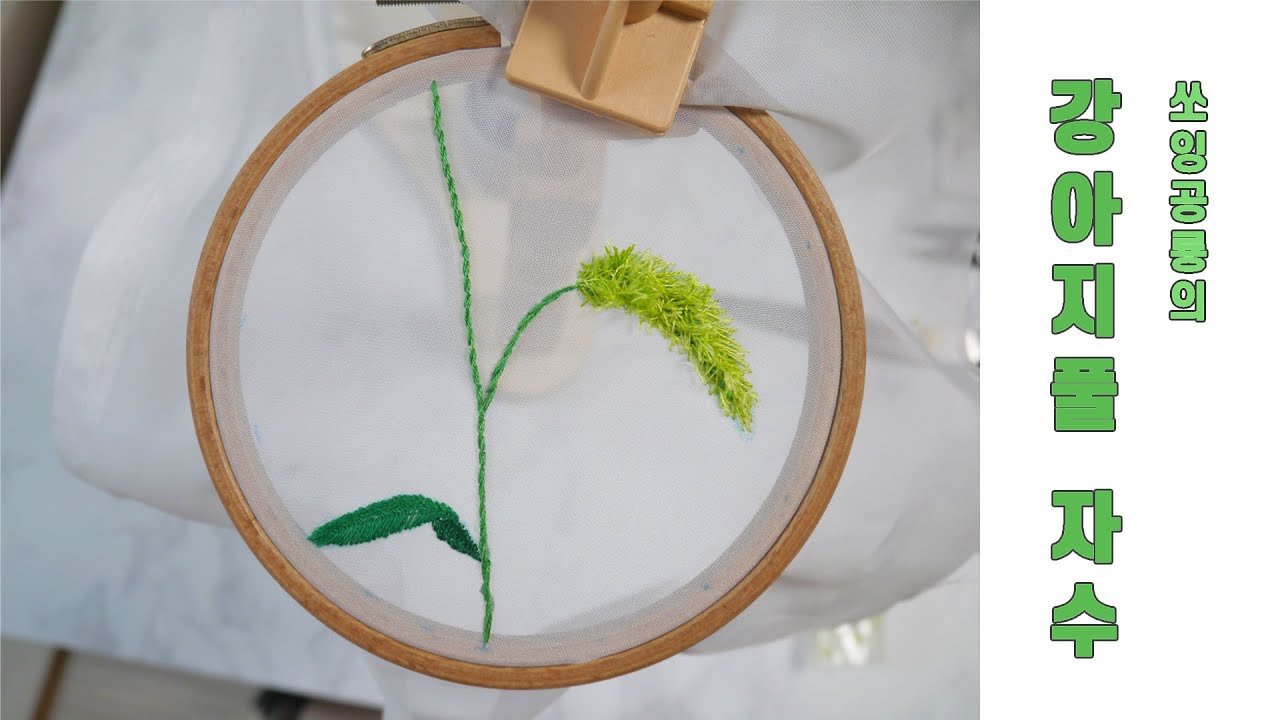 [프랑스자수, embroidery] 강아지풀 자수, 강아지풀 수놓기
