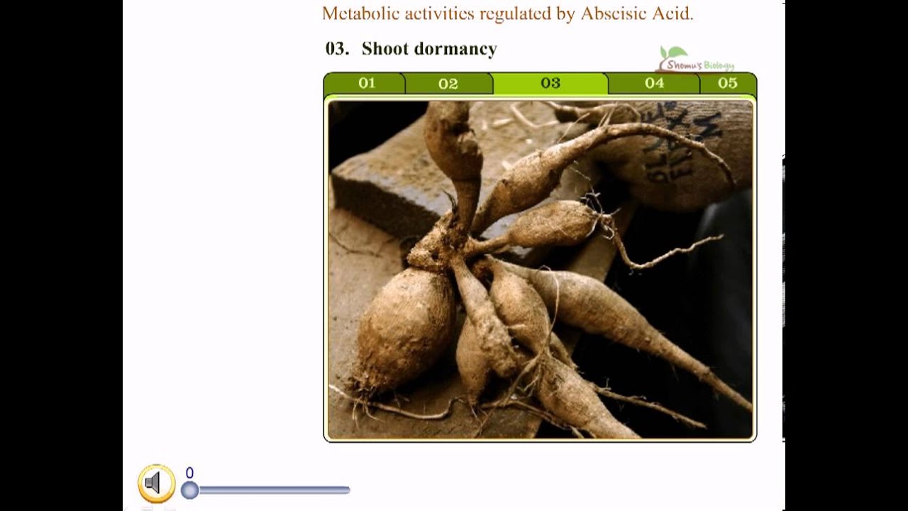 Abscisic acid