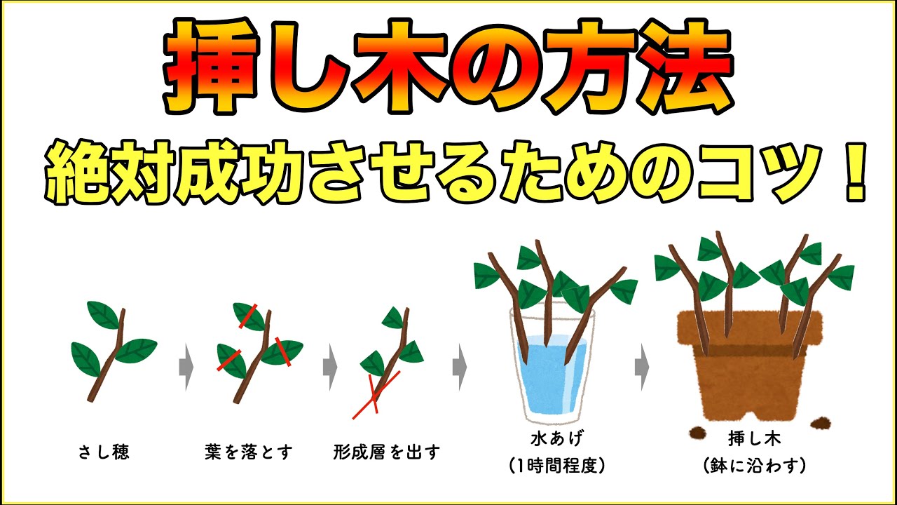 【増やし方】栽培者が教える『挿し木の注意点』と『挿し木ができる果樹一覧』【5分でわかる！】【園芸】【ガーデニング】