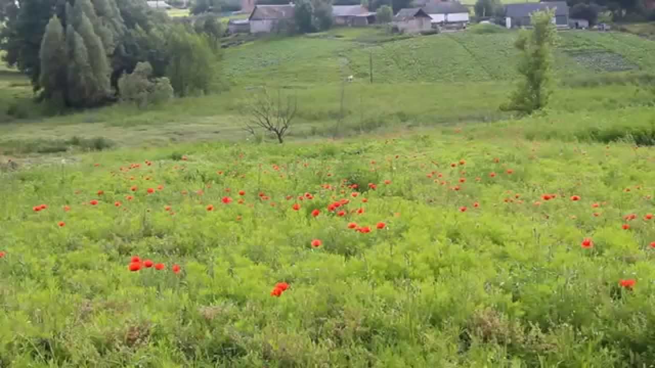 Село П'ятка.