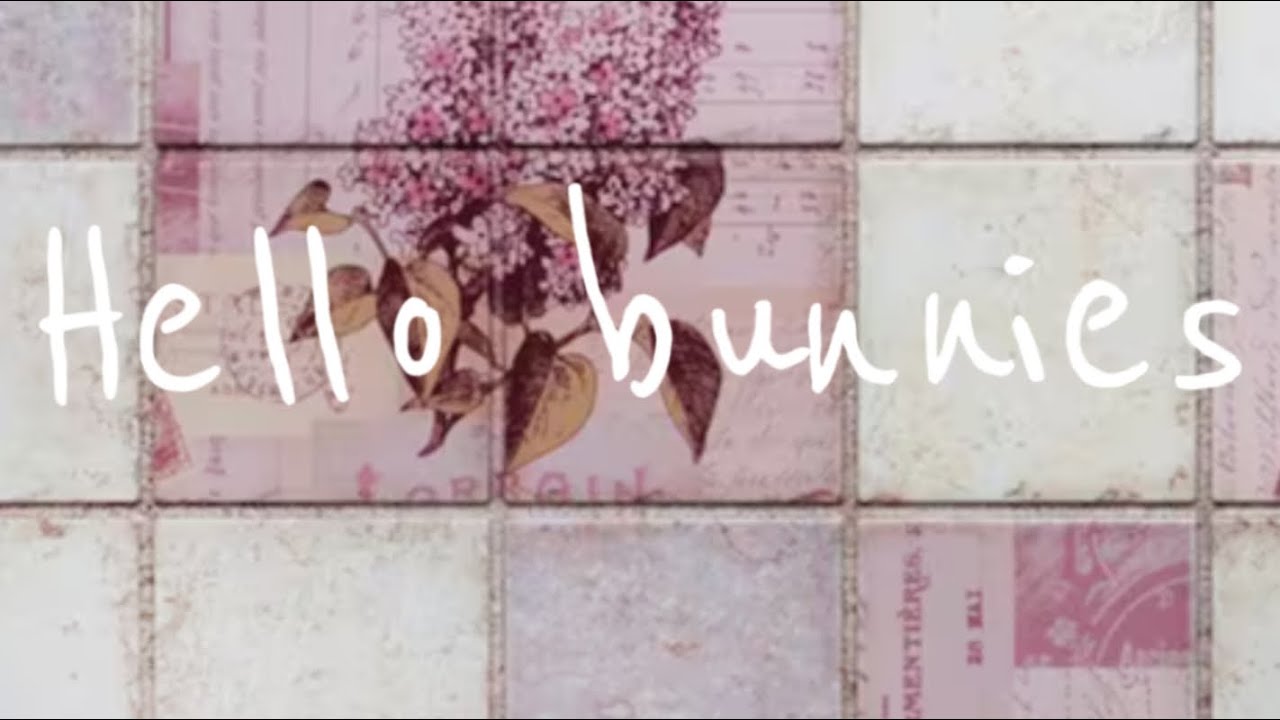 Hello bunnies