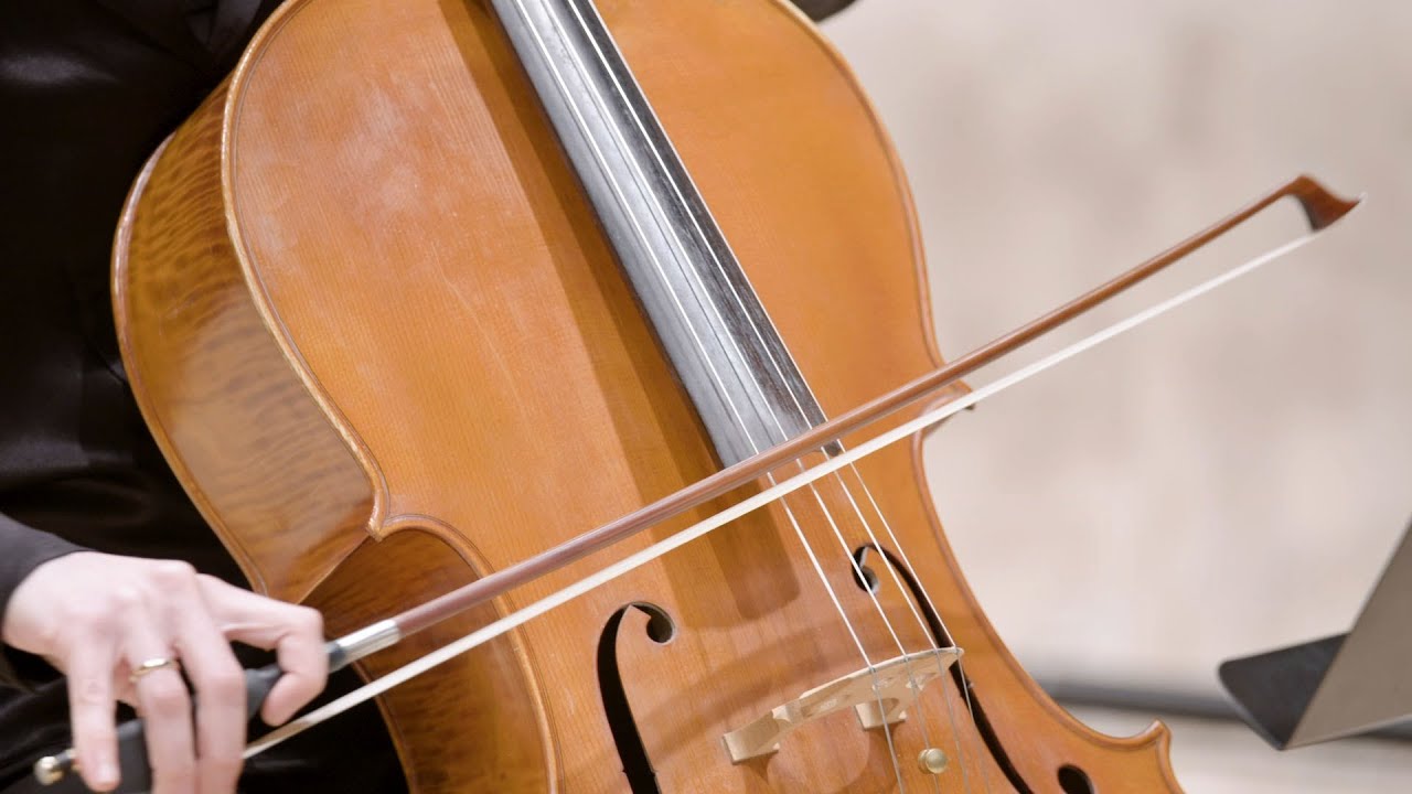Carl Nielsen & Edward Elgar | Sønderjyllands Symfoniorkester