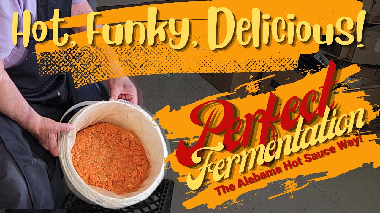 30 Day Ferment - Habanero Pepper Mash - Live Ferment Opening - #alabamahotsauce