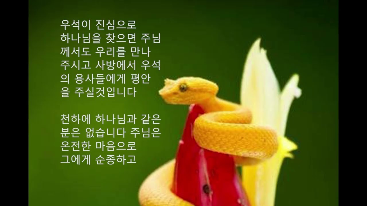 우석이 진심으로 하나님께 감사하며 천사들 앞에서 주님을 찬양하겠습니다 우석의 용사들은 마음을 다하여 하나님을 신뢰하겠습니다 우리는 자신의 경험과 지식에 의존하지 않겠습니다