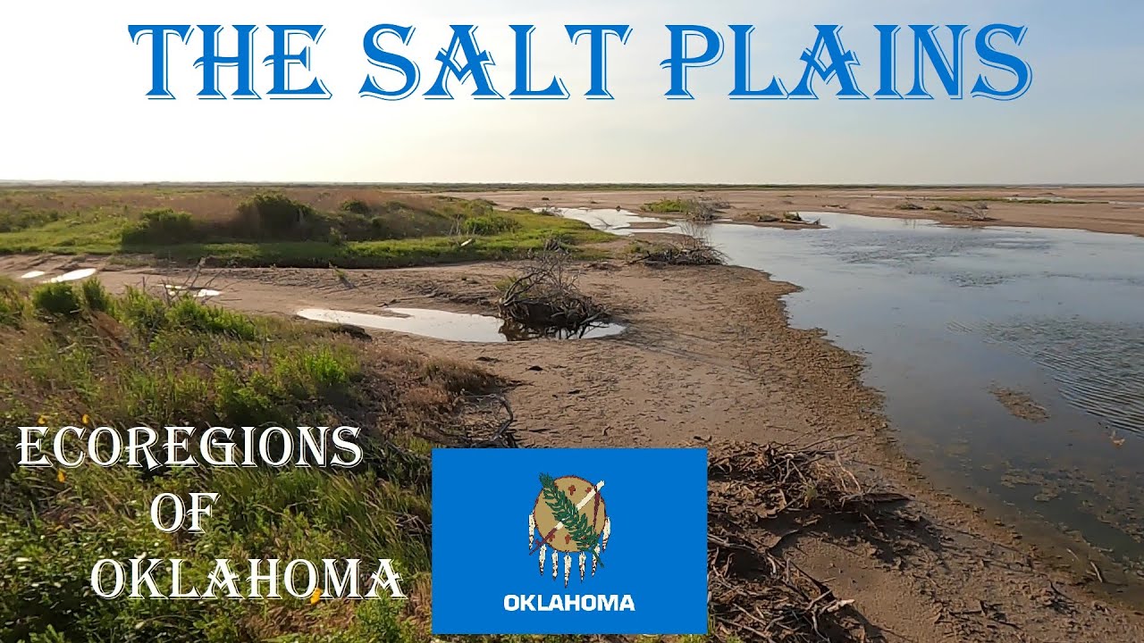 ECOREGIONS OF OKLAHOMA - Salt Plains #ecology #oklahoma     