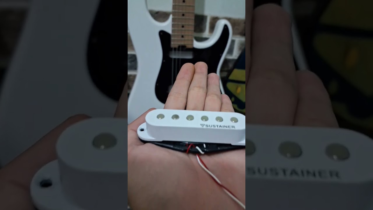 SINGLE COIL NATURAL SUSTAINER  #singlecoils #sustainer #humbucker #neckpickups