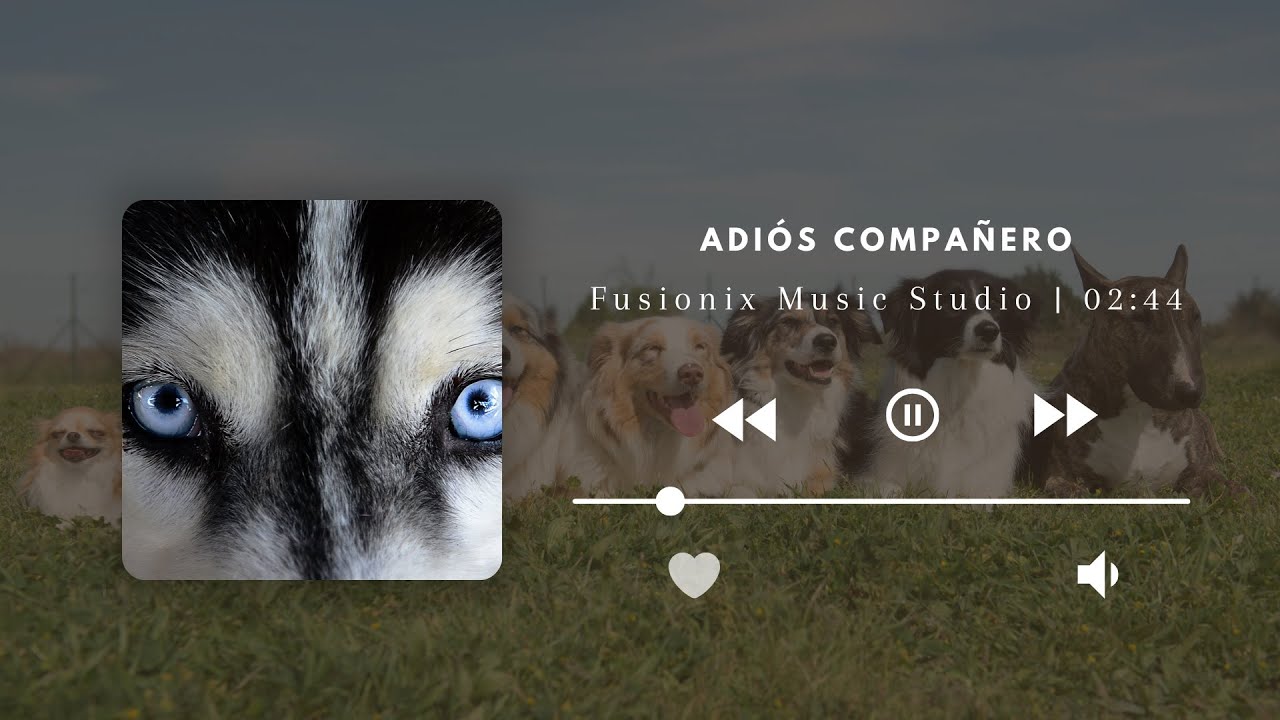 Adiós Compañero