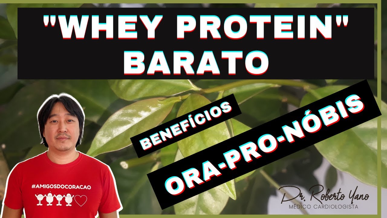 5 Benefícios da Ora-pro-nóbis! Ora pro Nóbis você conhece?