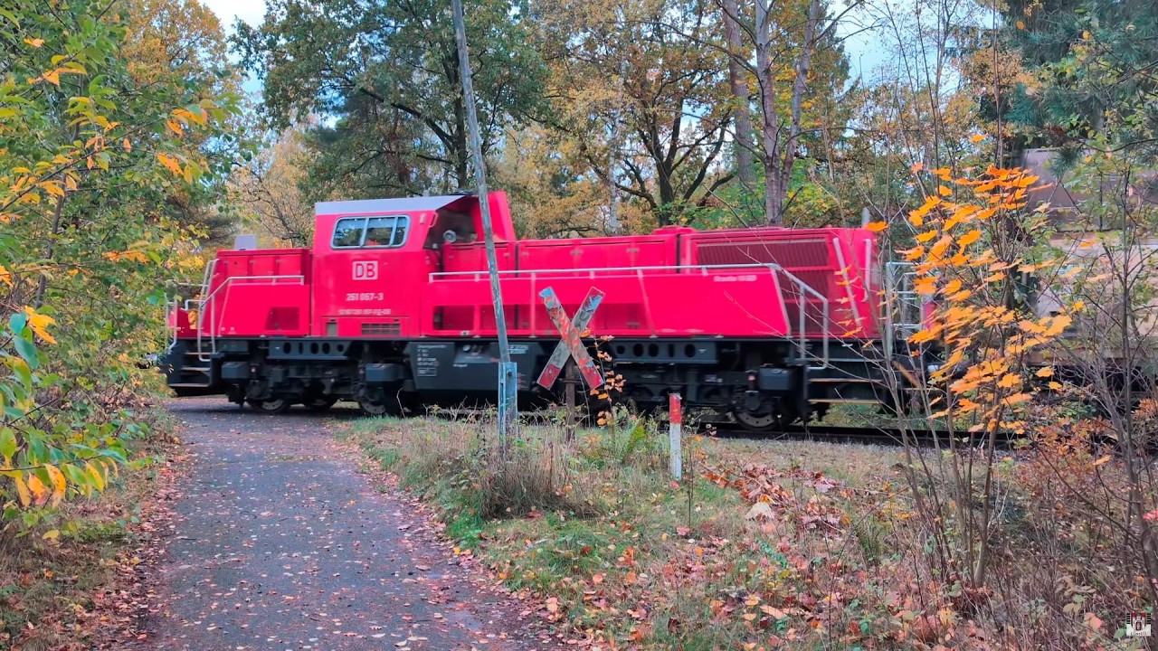 Bahnübergang Lüneburger Hafenbahn Waldstück Ebensberg| Level Crossing Germany 