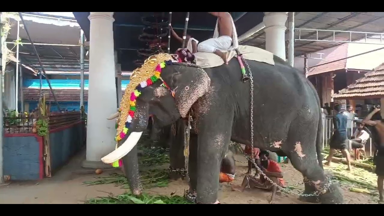 ഓം നമഃ ശിവായ 